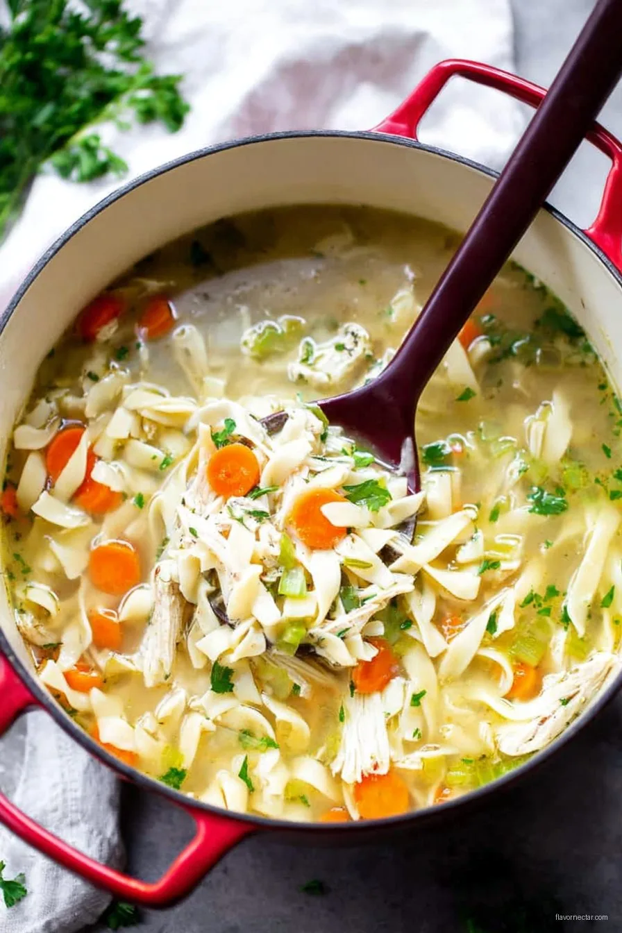 Chicken Noodle Soup