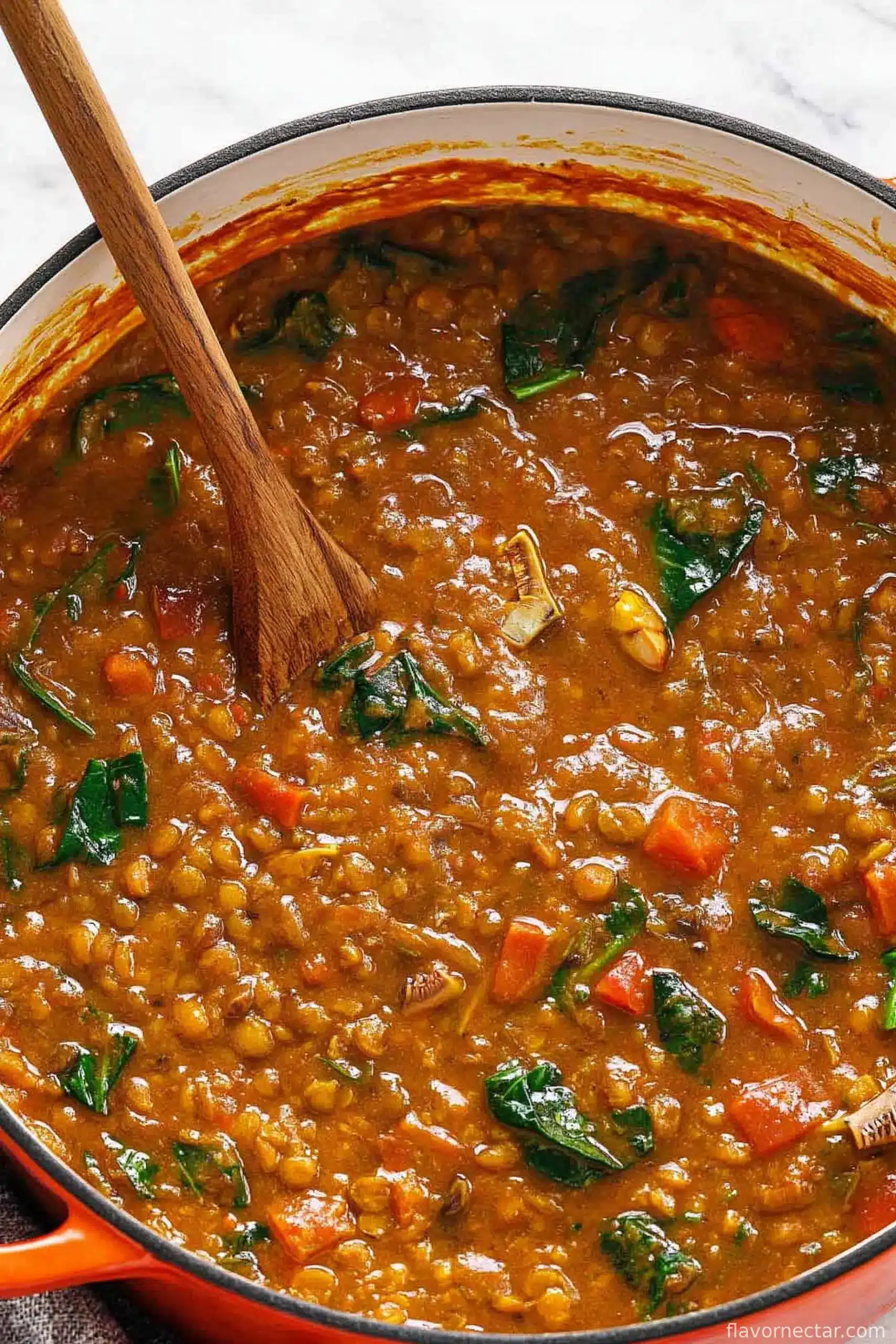 Detox Moroccan Lentil Soup
